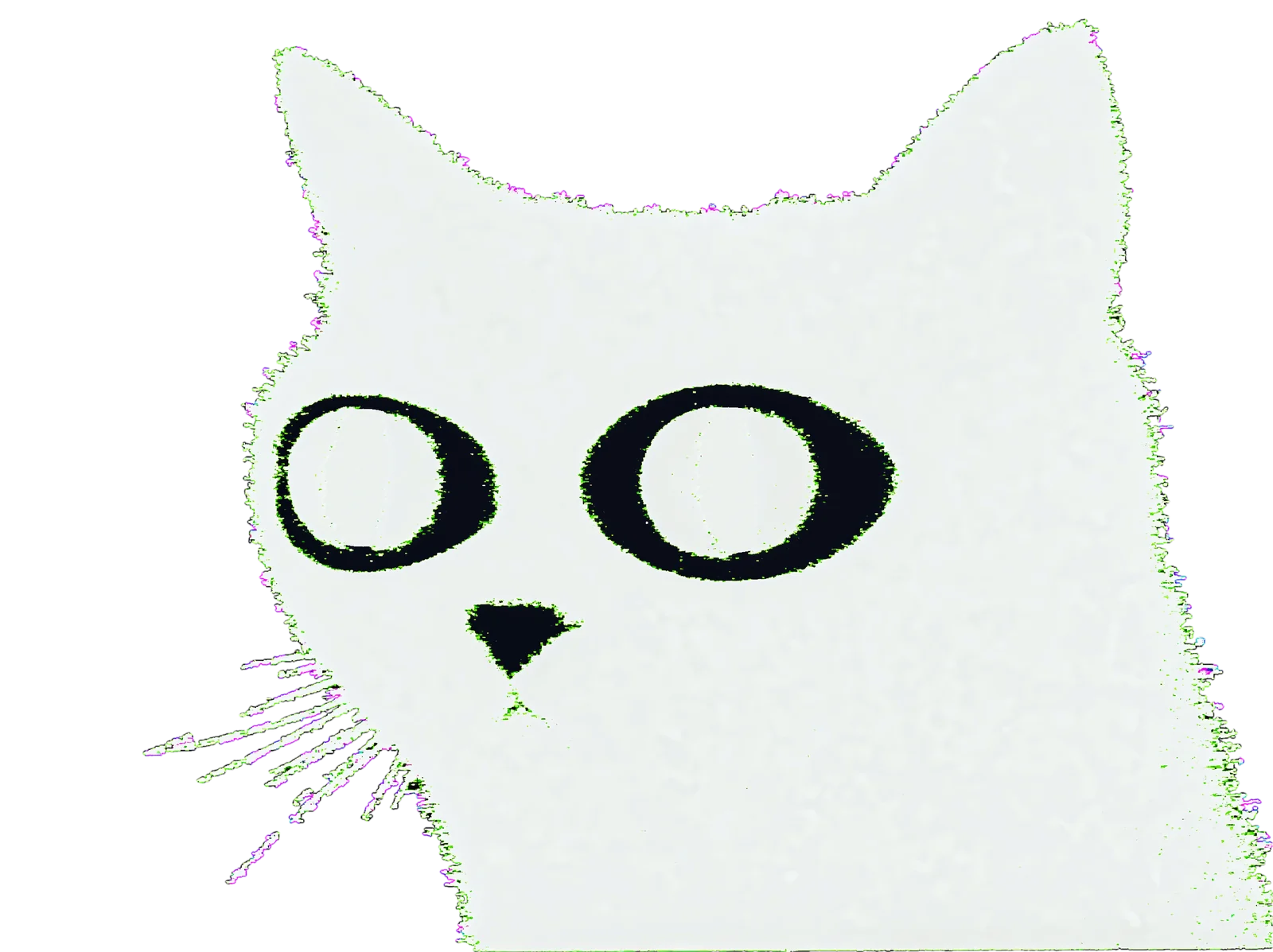 NYANODE cat